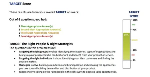 Sales IQ Assessment